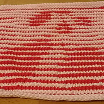 Fruit Dishcloth