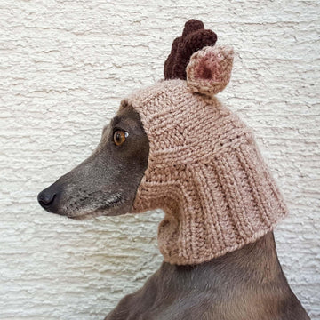 Reindeer Dog Hat