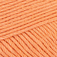 Apricot (524)