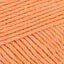 Apricot (524)