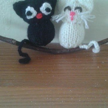 Little Witch and Midnight the Cat