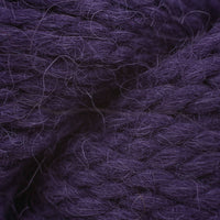 Eggplant (72105)