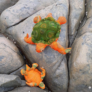 Hearty Turtle