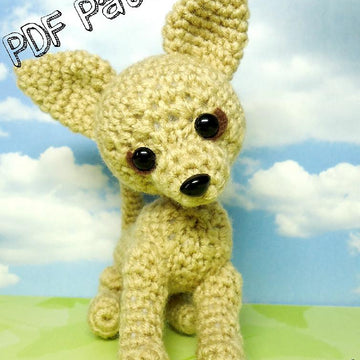 Sugar and Ginger Chihuahuas