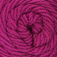 Fuchsia (00031)