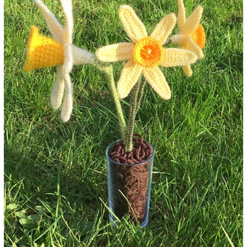 Spring Daffodils