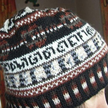 Guitar beanie