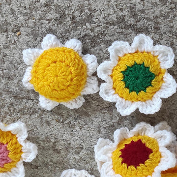 Daisy memory game