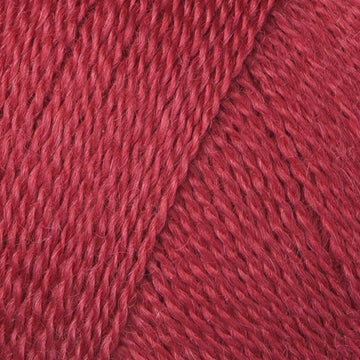 Ruby (953)