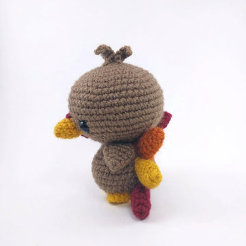 Terrence the Turkey