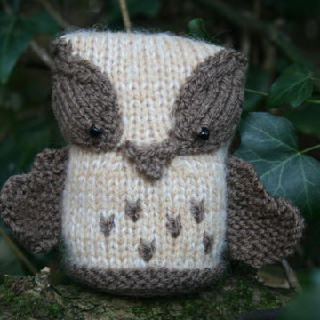 Owls - The Hoot Family