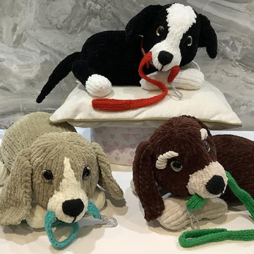 Playful Puppy Dogs