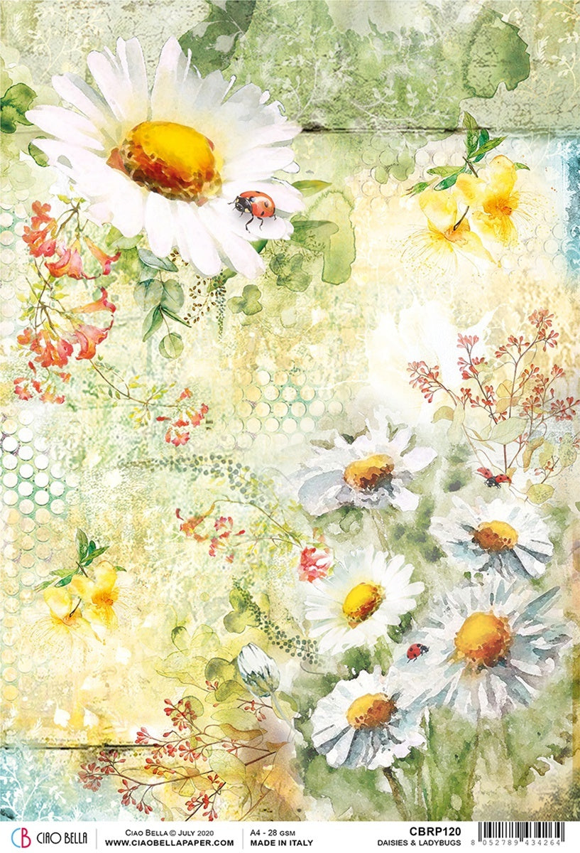 Ciao Bella Rice Paper Sheet A4 5/Pkg - Daisies & Ladybugs, Microcosmos