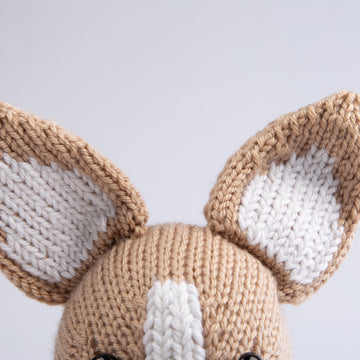 Charlie the Chihuahua in Deramores Studio DK Acrylic - Downloadable PDF