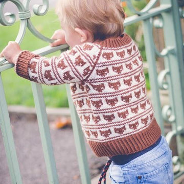 Foxy Loxy Jumper