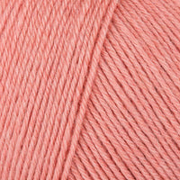 Apricot (00032)