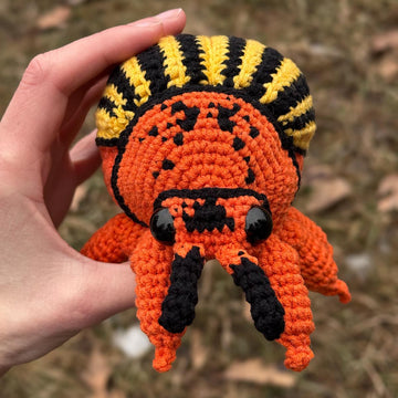 Colorado Beetle