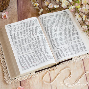 Hope: A Lace Bible Cover For Easter