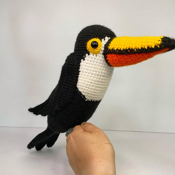 Terri the Toucan