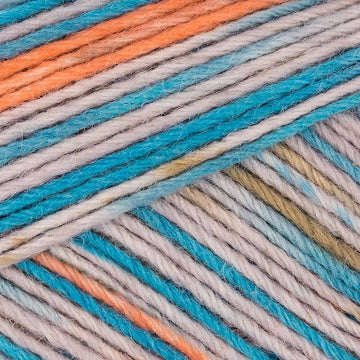 Regia 6 Ply Color 150g