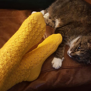 Look Around Socks