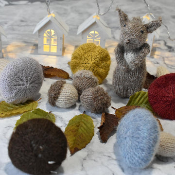 Mushrooms and acorns