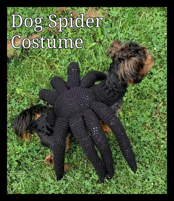 Spider Dog Costume
