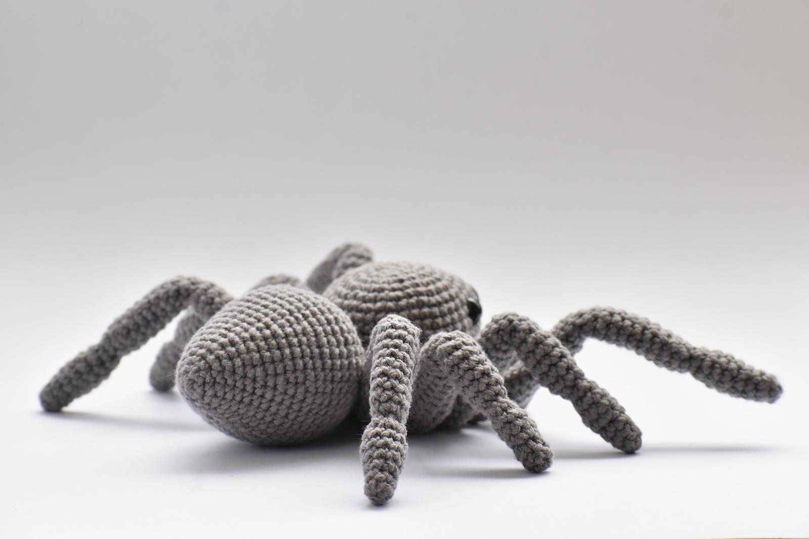 Jumping Spider