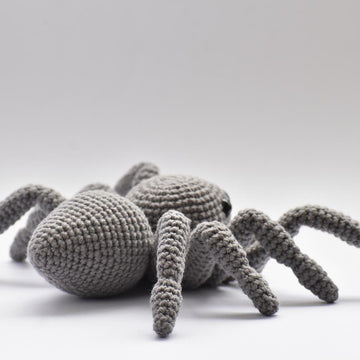 Jumping Spider