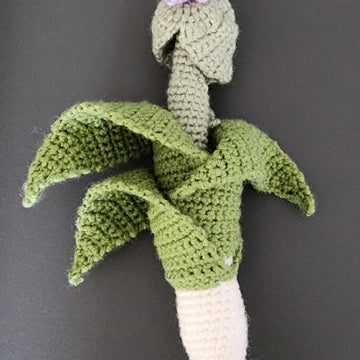 Leek with flower pod