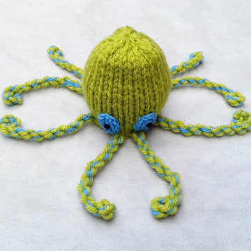 Octopus - Chocolate Orange Cover