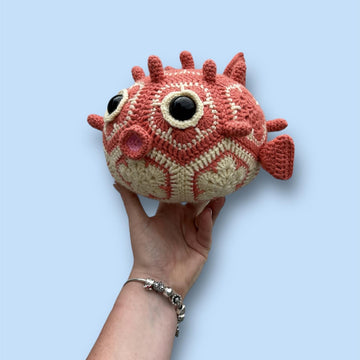 Bubbles the African Flower Puffer Fish