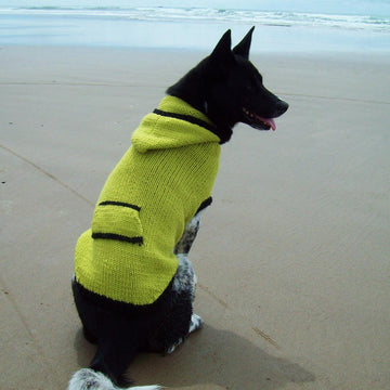 Canine Hoodie