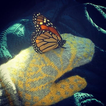 Butterfly Mittens