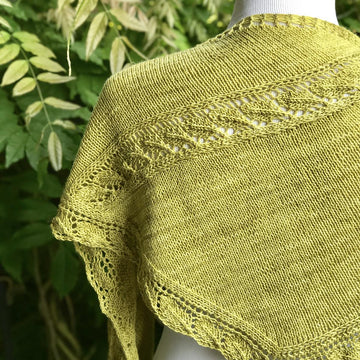 Eve Shawl
