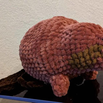 Beaver