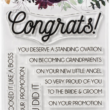 Colorado Craft Company Clear Stamps 4"X6" - Congrats Everything-Savvy Sentiments