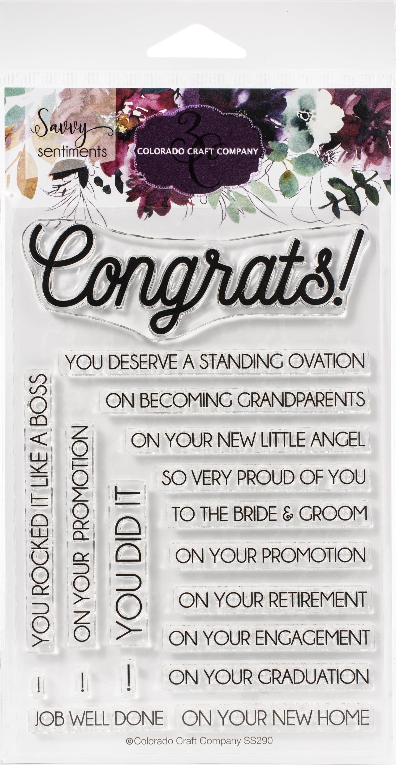 Colorado Craft Company Clear Stamps 4"X6" - Congrats Everything-Savvy Sentiments