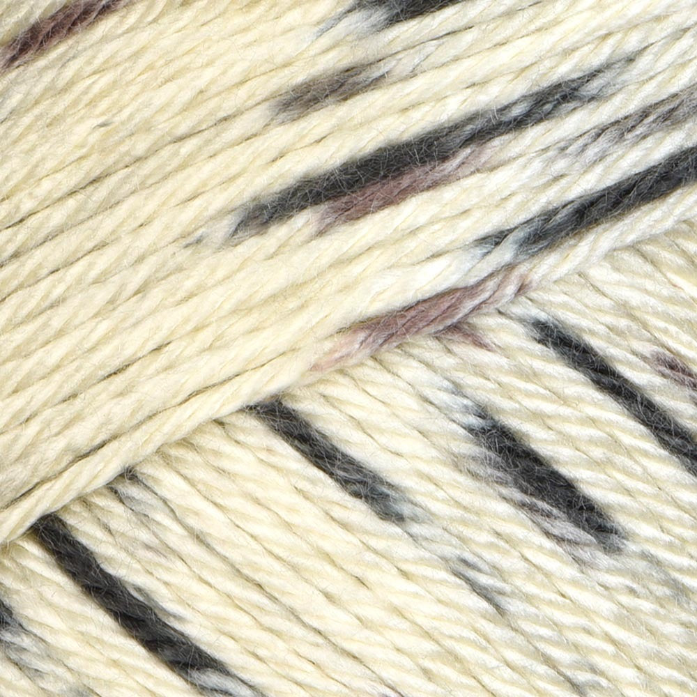 Caron Simply Soft Speckle