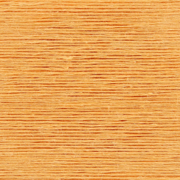 Apricot (10)