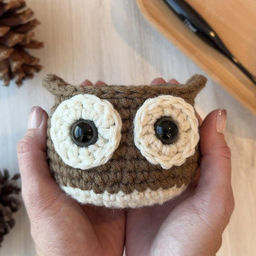 Little Hoot Owl Bowl