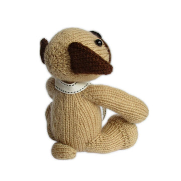 Pug Dog