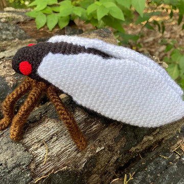Periodic Cicada