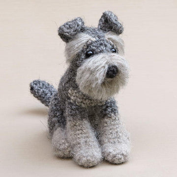 Schnoodge the Schnauzer dog