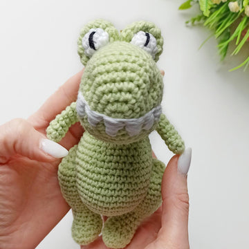 Dinosaur Baby T_Rex