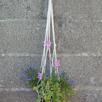 Plant Pot Hanger with Butterfly Trim