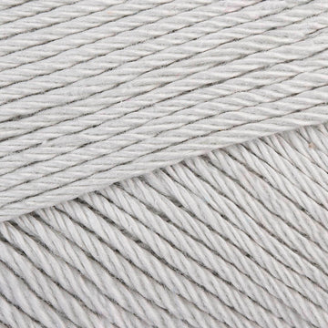 Light Silver (172)