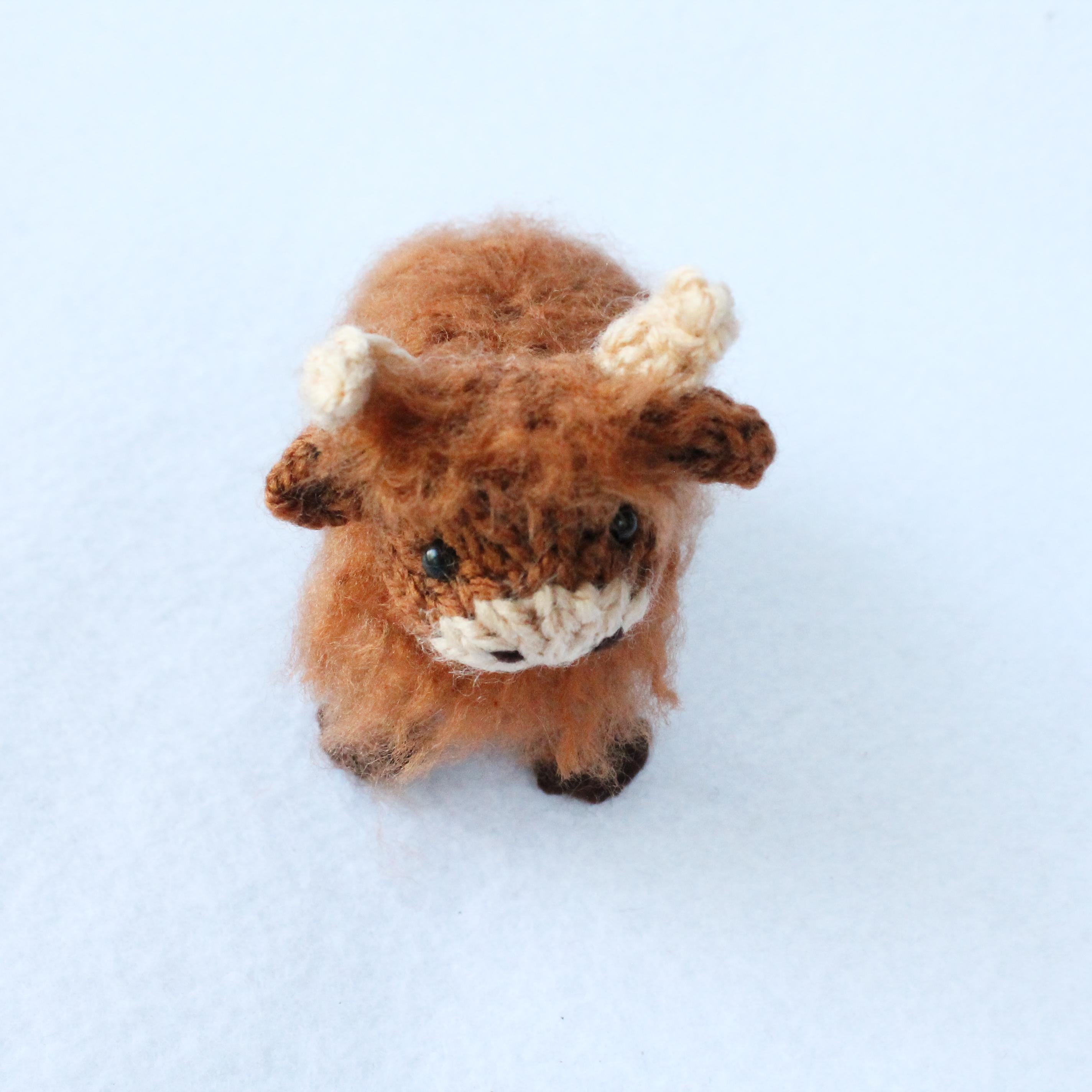 Mini Highland Cows