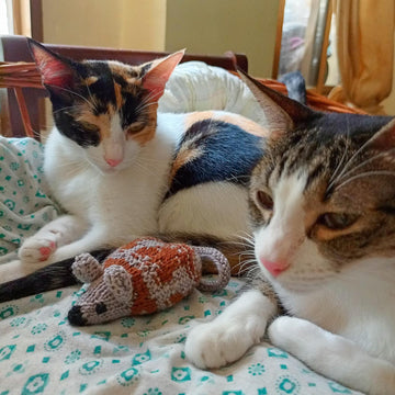 Mouse toys for cats