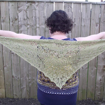 Lacuna Shawl